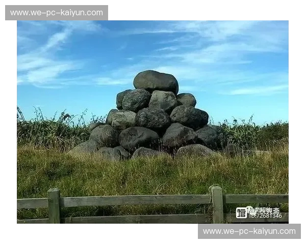 惠灵顿风云：巨龙与海鸥的史诗对决，谁将主宰新西兰的荣耀？